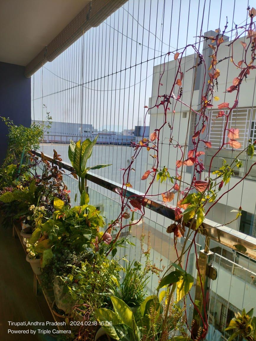 Fountain Installation